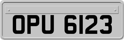 OPU6123