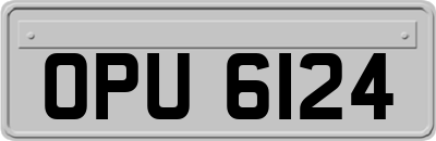 OPU6124