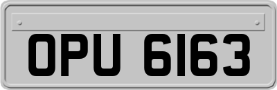 OPU6163