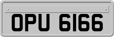 OPU6166