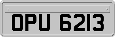 OPU6213