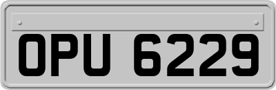 OPU6229