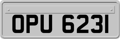 OPU6231