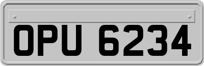 OPU6234