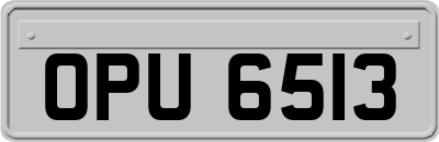 OPU6513
