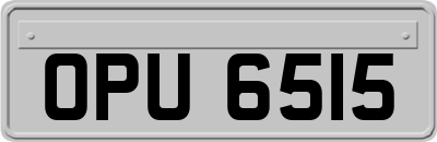 OPU6515