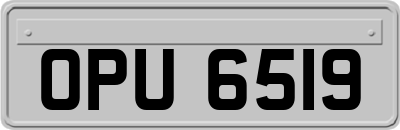 OPU6519