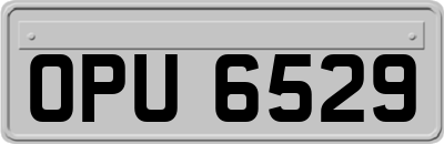 OPU6529