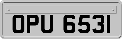 OPU6531