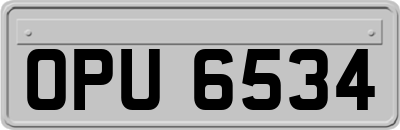 OPU6534
