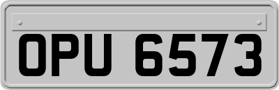 OPU6573