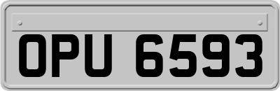 OPU6593