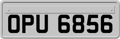 OPU6856