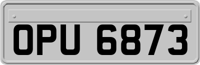 OPU6873