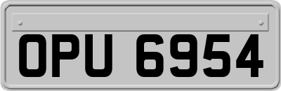 OPU6954
