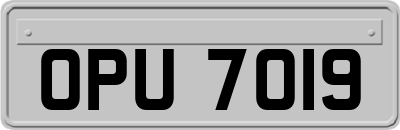 OPU7019