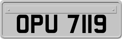 OPU7119