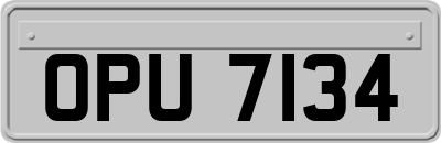 OPU7134