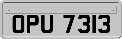 OPU7313