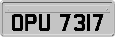 OPU7317