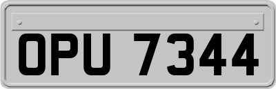 OPU7344