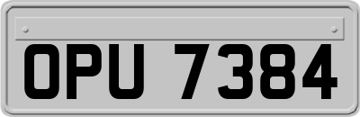 OPU7384
