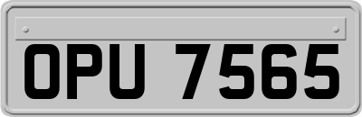 OPU7565