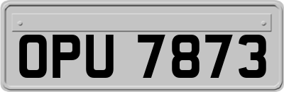 OPU7873