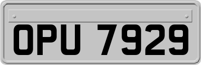 OPU7929