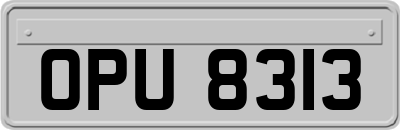 OPU8313