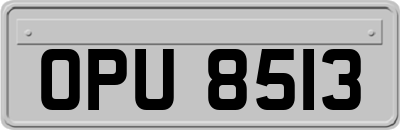 OPU8513