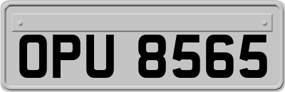 OPU8565