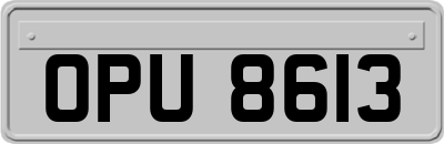 OPU8613