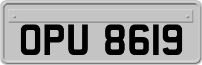 OPU8619