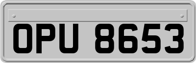 OPU8653
