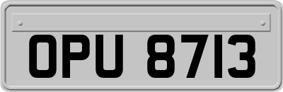 OPU8713