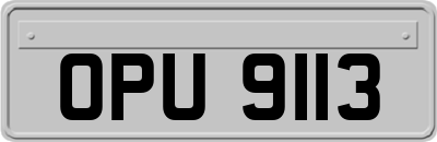 OPU9113