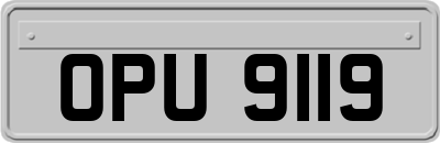 OPU9119