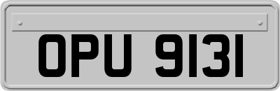 OPU9131