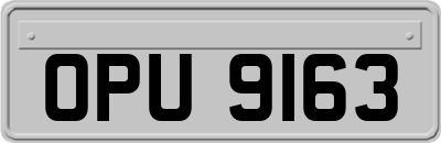 OPU9163