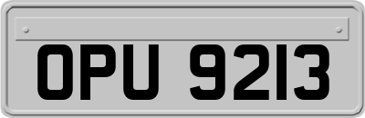 OPU9213