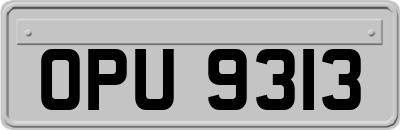 OPU9313