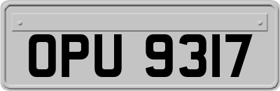 OPU9317