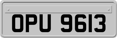OPU9613