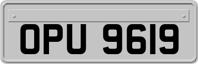 OPU9619