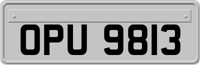 OPU9813