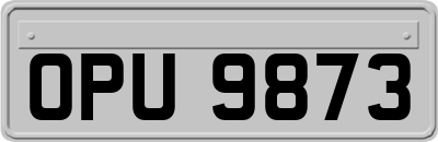OPU9873
