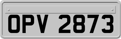 OPV2873