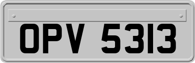 OPV5313