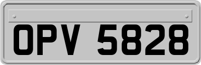 OPV5828